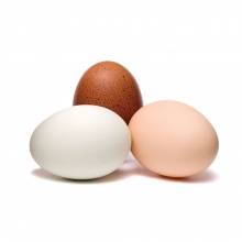 Яйцо инкубационное РОСС-308